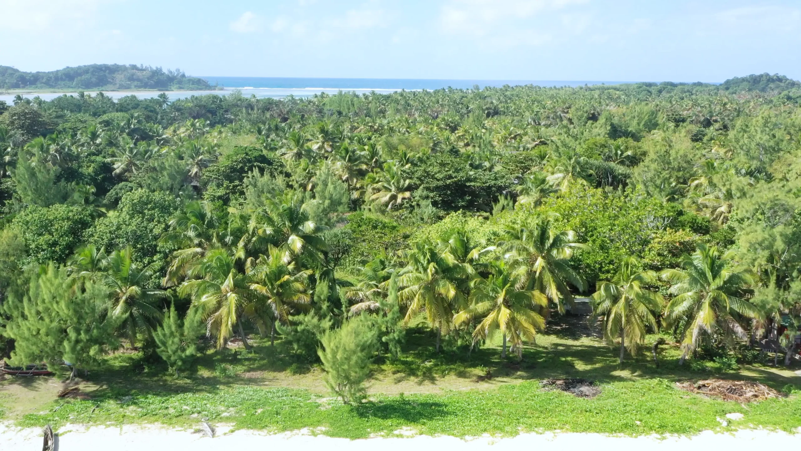 Littoral tropical et terrain en bord de mer sur l’Île aux Nattes