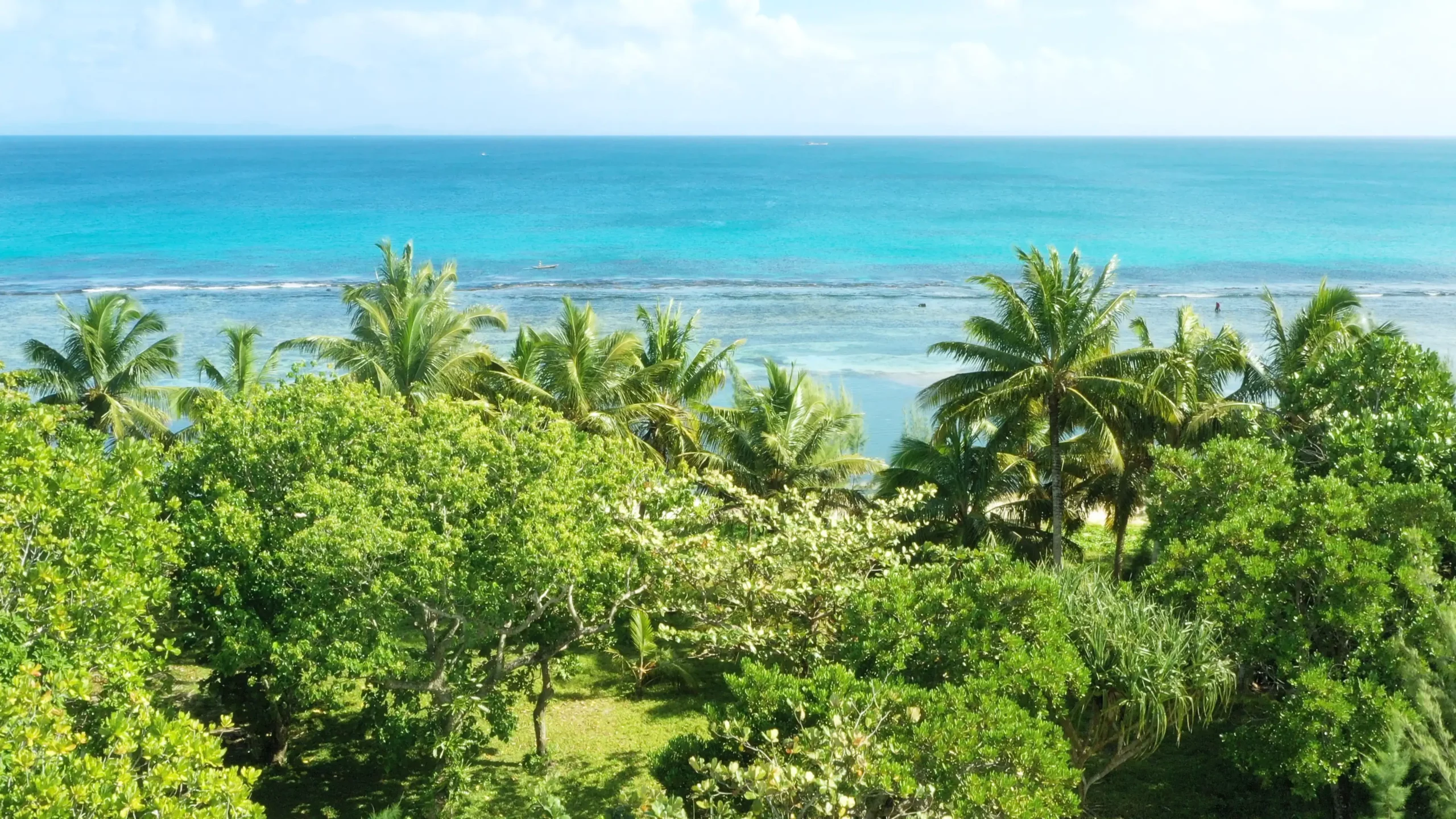 Vue du lagon et de la végétation du terrain