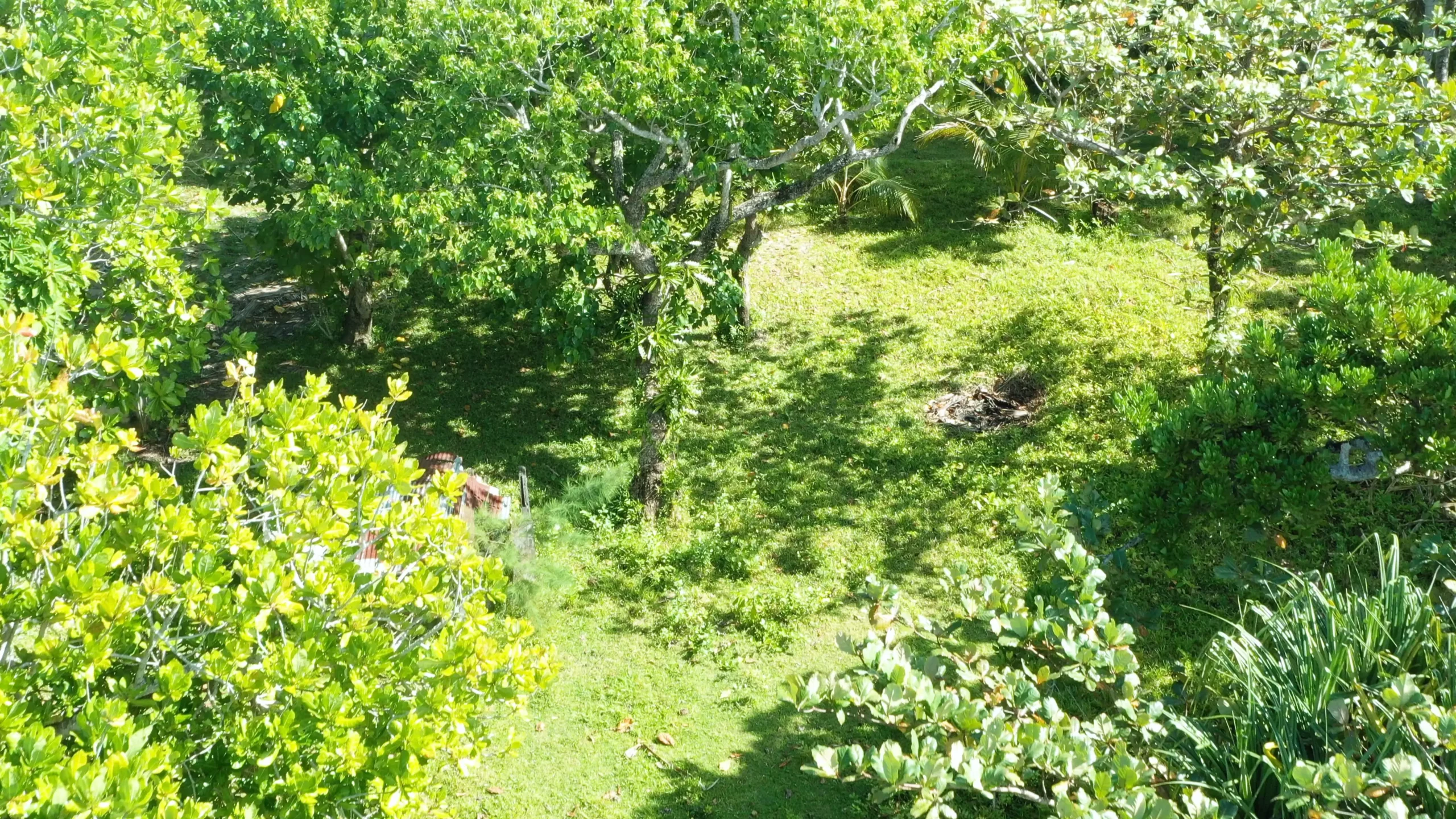 Vue aérienne du terrain tropical constructible