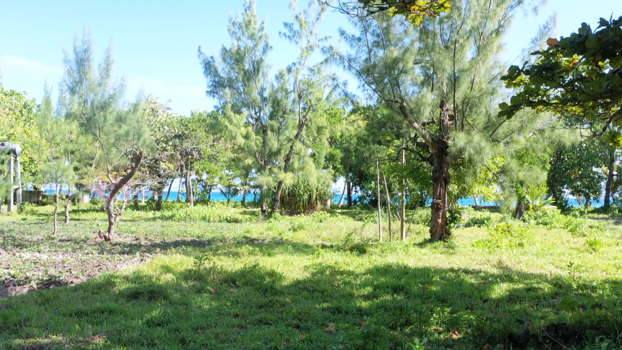 Terrain d’un hectare au bord du lagon de l’Île aux Nattes
