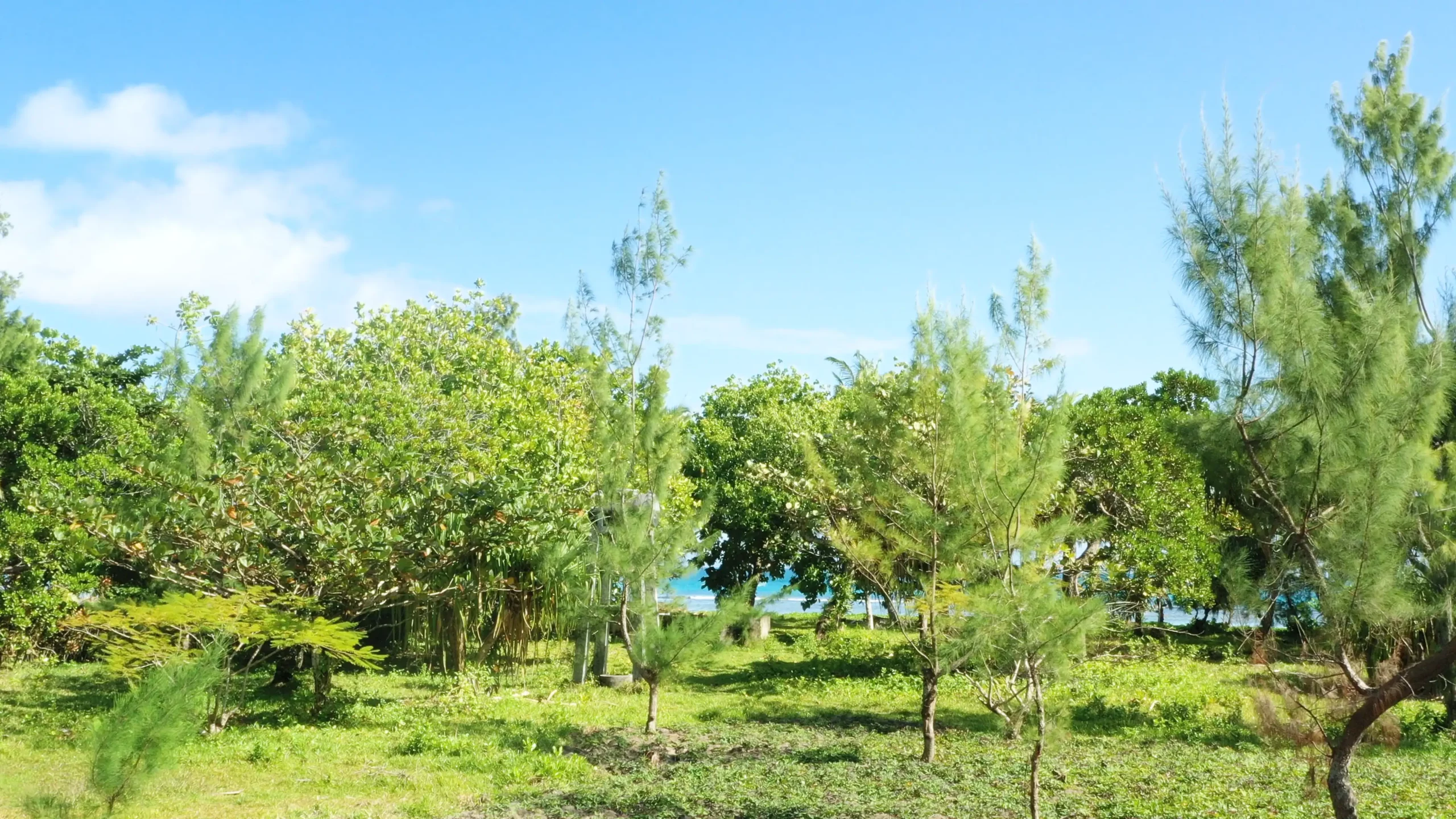 Environnement naturel du terrain à vendre