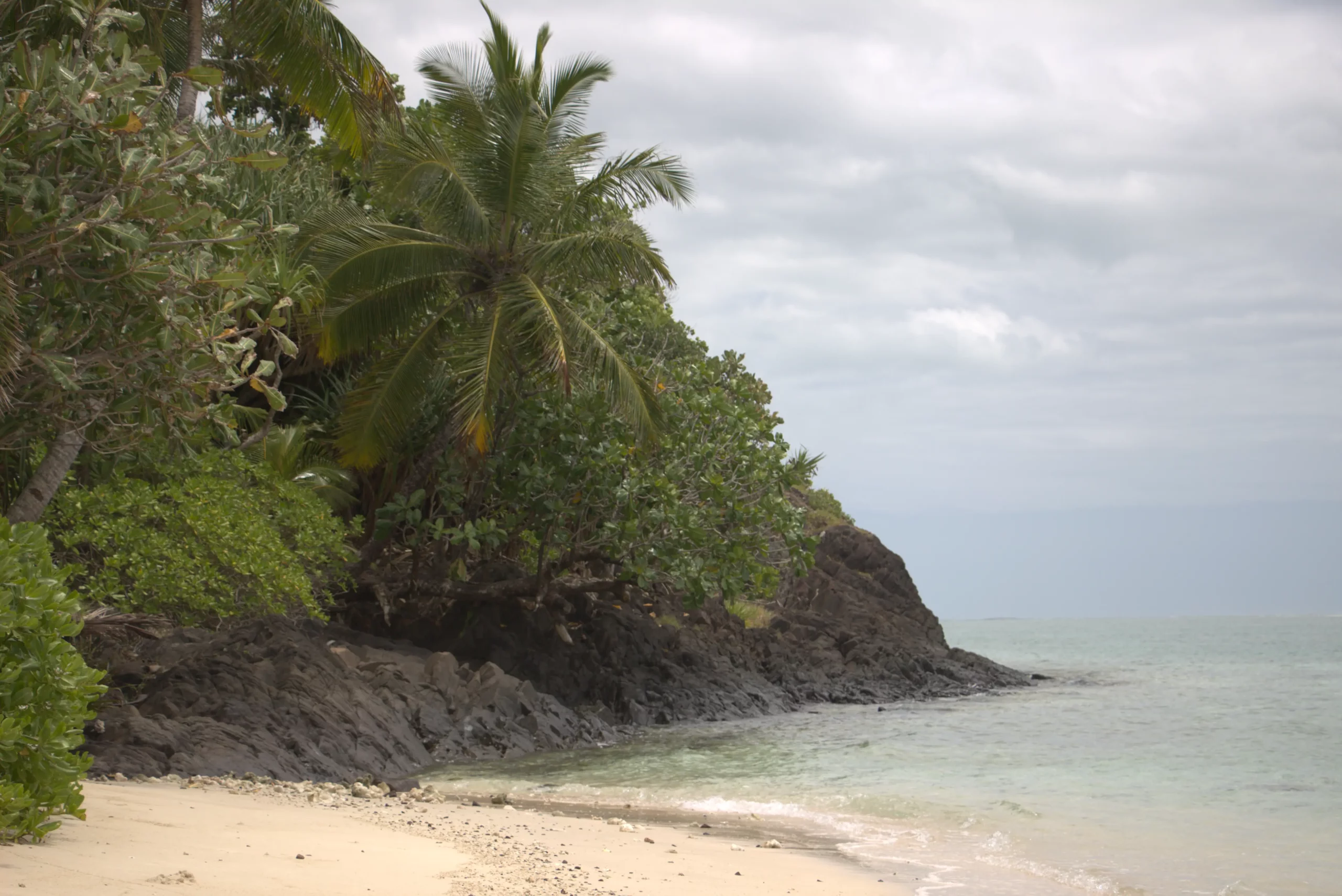 Cadre tropical en bord de mer dans le sud-est de l'île