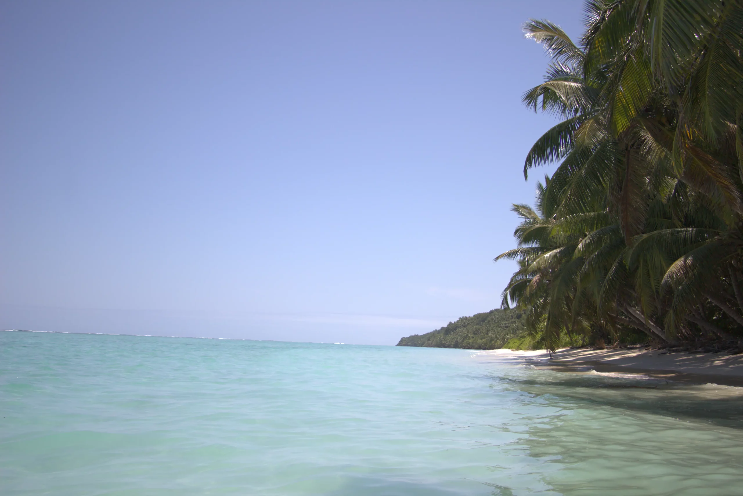 Vue dégagée sur le littoral tropical depuis le terrain