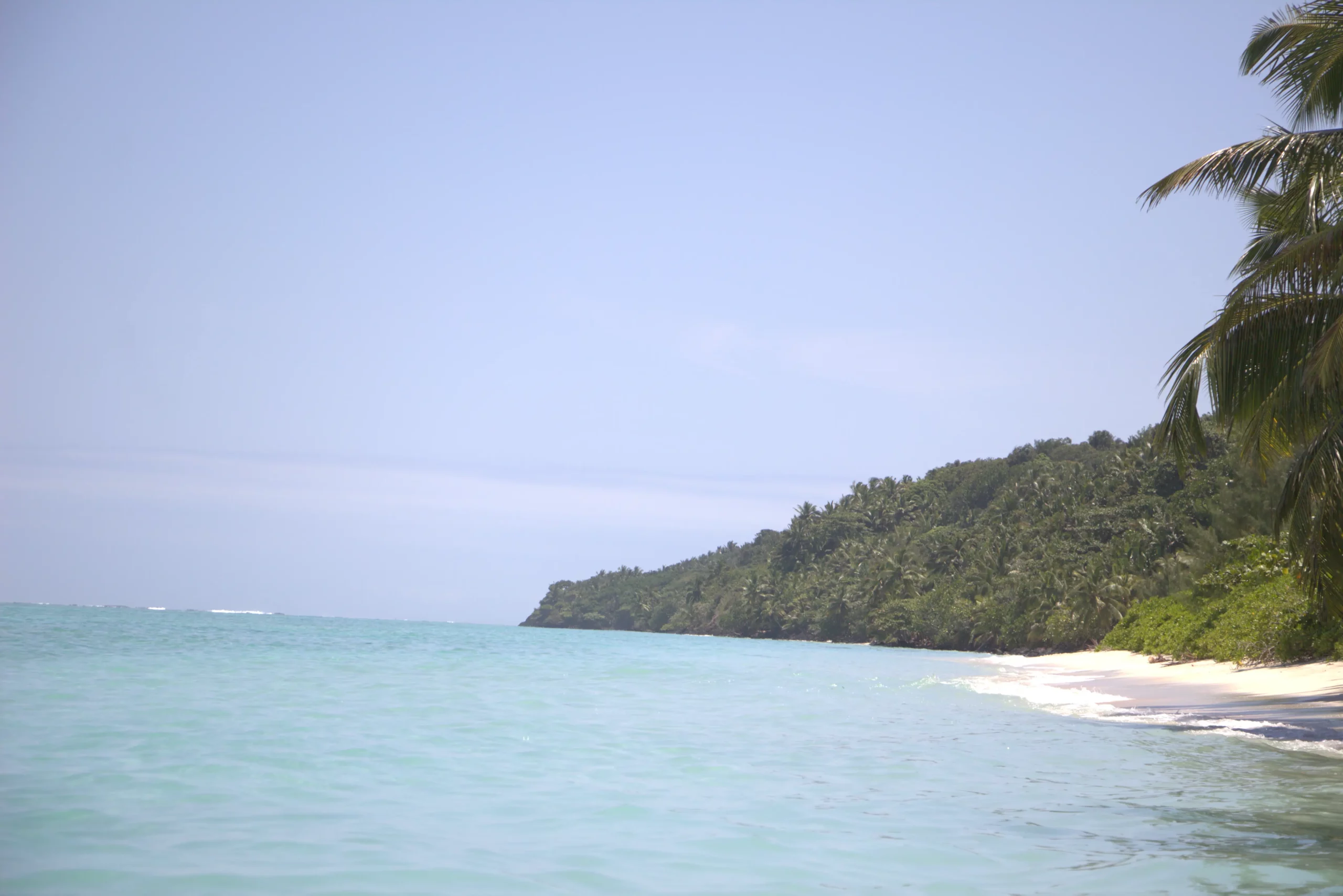 Paysage naturel du terrain de 5,5 hectares en bord de mer