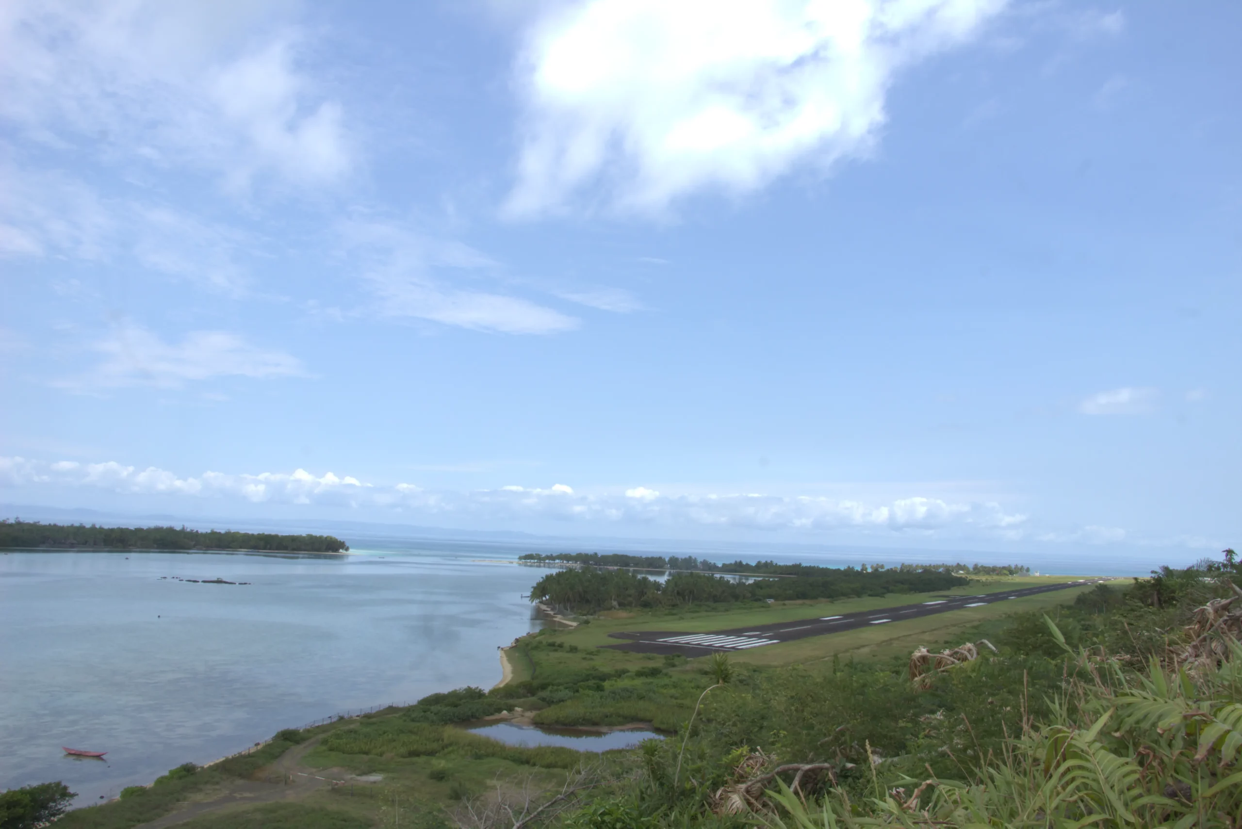 Végétation tropicale luxuriante présente sur la propriété