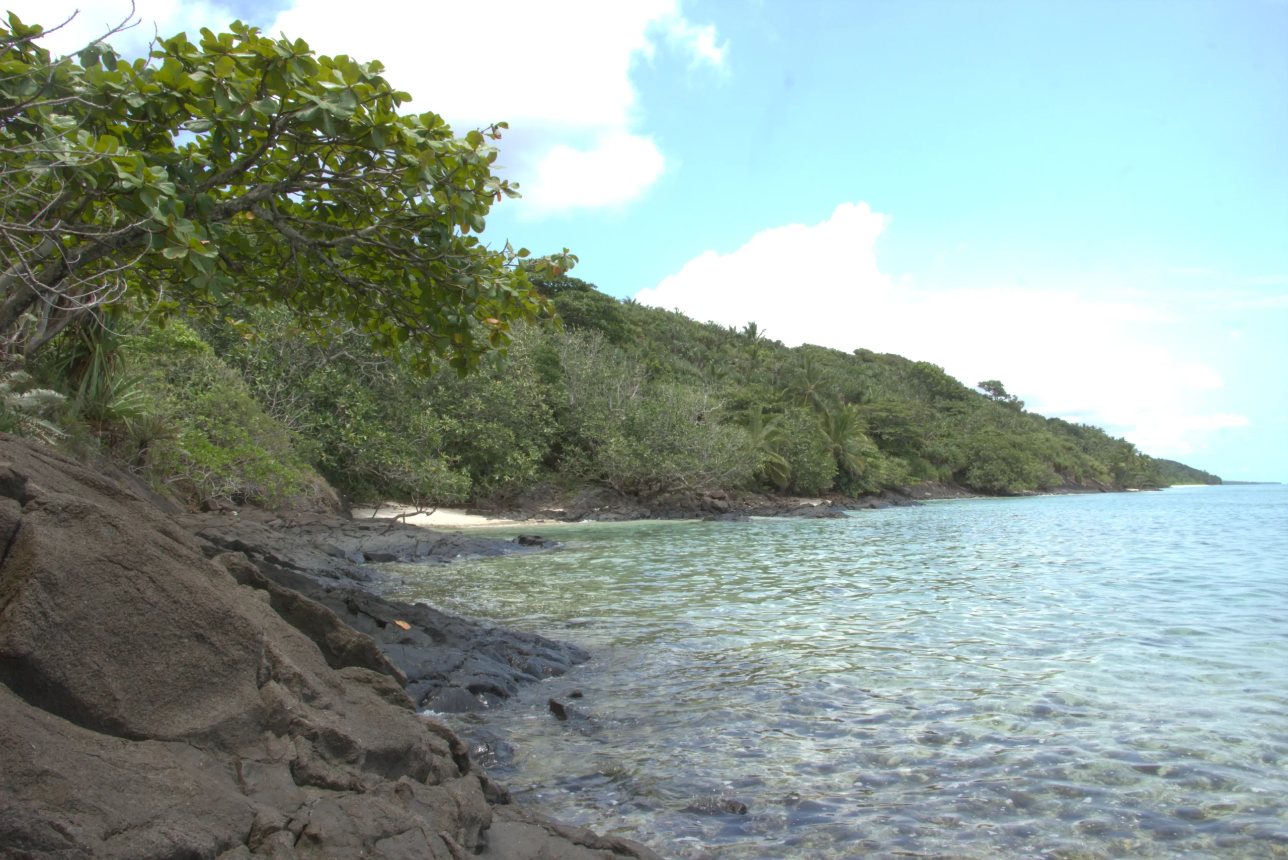 Littoral préservé et eau transparente au pied du terrain